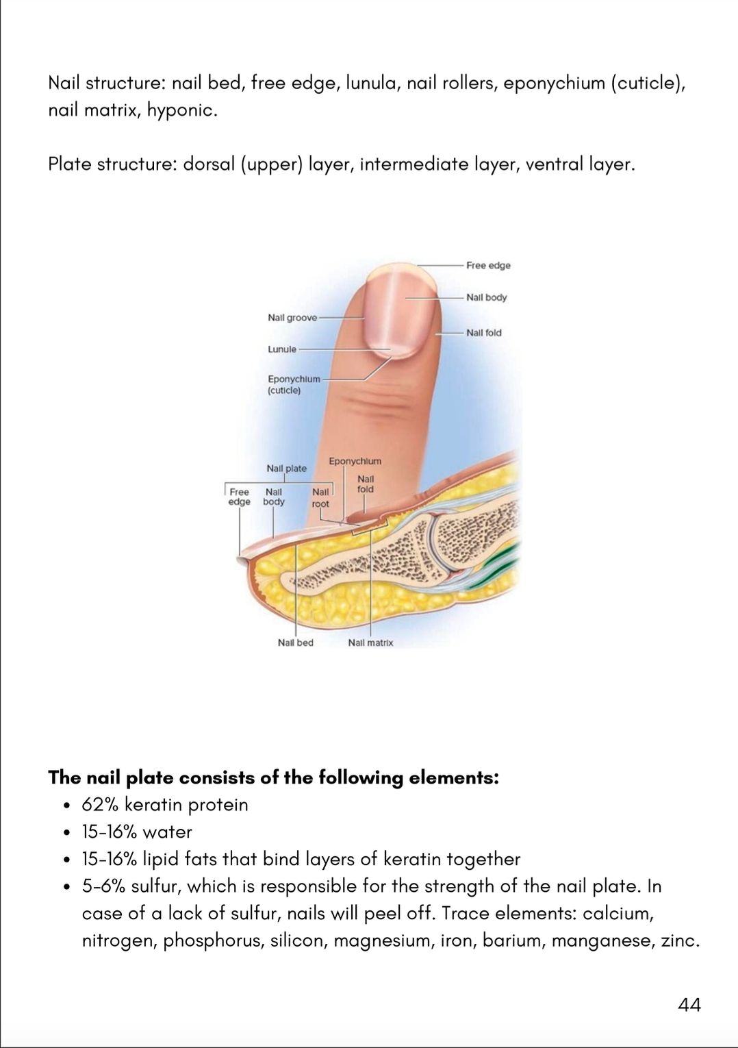 Manicure Theory Book – Master the Basics & Beyond (EN)